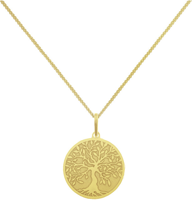 Praqia Jewellery Pozlátený náhrdelník Strom Života KO6248_CU040_45_A (retiazka, prívesok)